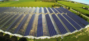 JinkoSolar supplies 24 MW for Thailand