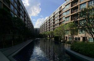 dCondo Creek condominium by Sansiri.