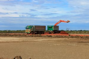 Farmers choose solar farm over Thailand's endangered spoon-billed sandpipers3